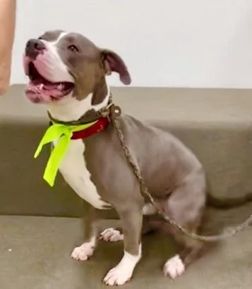 Brewsterjust Wants To Connect thumbnail 4