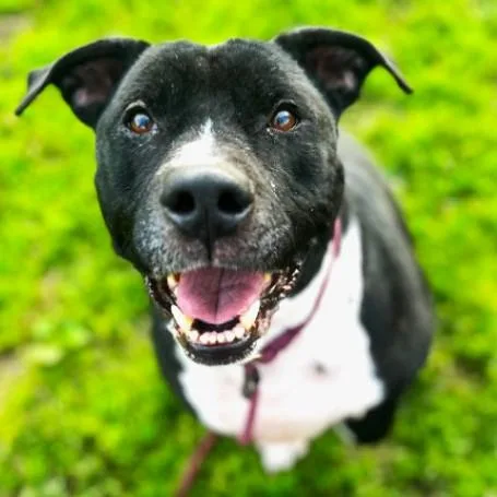 Mia  Loving  thumbnail 3