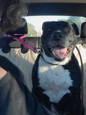 Mia  Loving  thumbnail 5