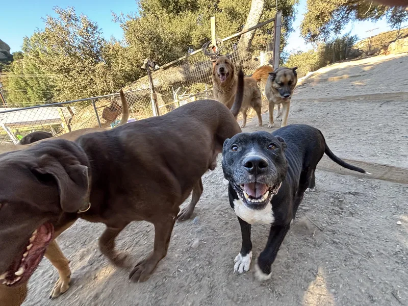 Mia  Loving  thumbnail 6