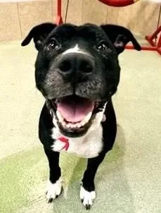 Miamost Wonderful Personalitywel Pay thumbnail 2