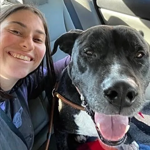 Miamost Wonderful Personalitywel Pay thumbnail 4