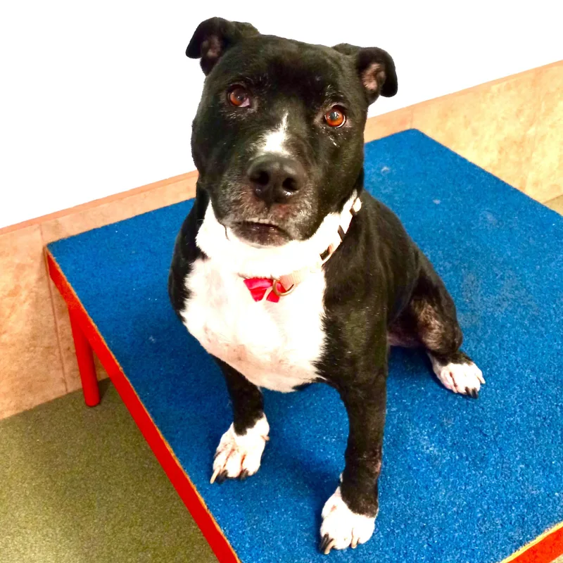 Miamost Wonderful Personalitywel Pay thumbnail 5