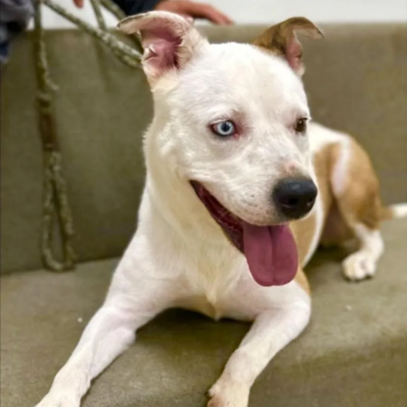 Luna A Sweet And thumbnail 2