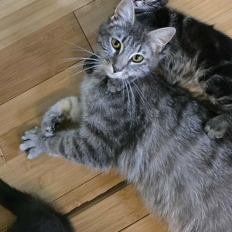 Big Mama thumbnail 2