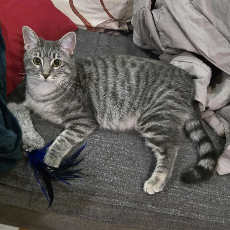 Big Mama thumbnail 4