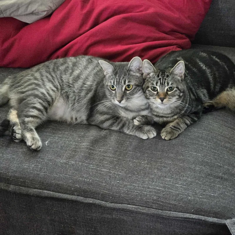 Big Mama thumbnail 5