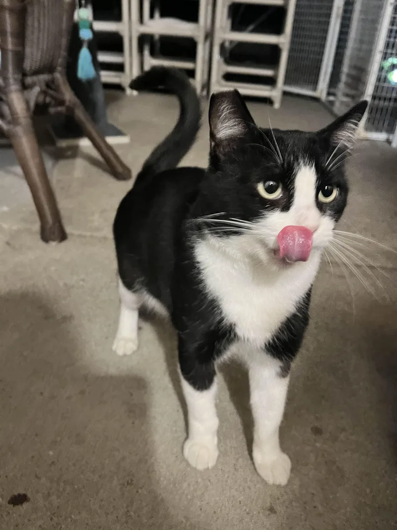 Freddy Krueger thumbnail 2