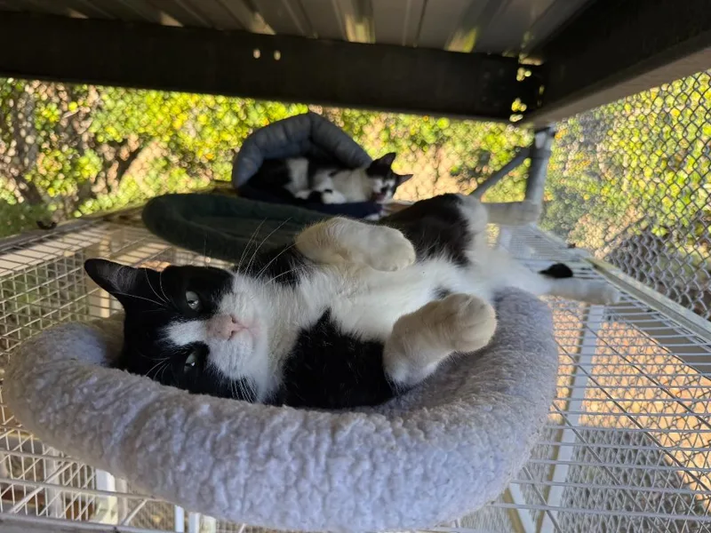 Freddy Krueger thumbnail 3