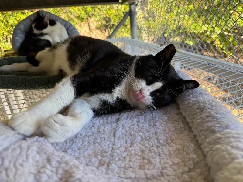 Freddy Krueger thumbnail 4