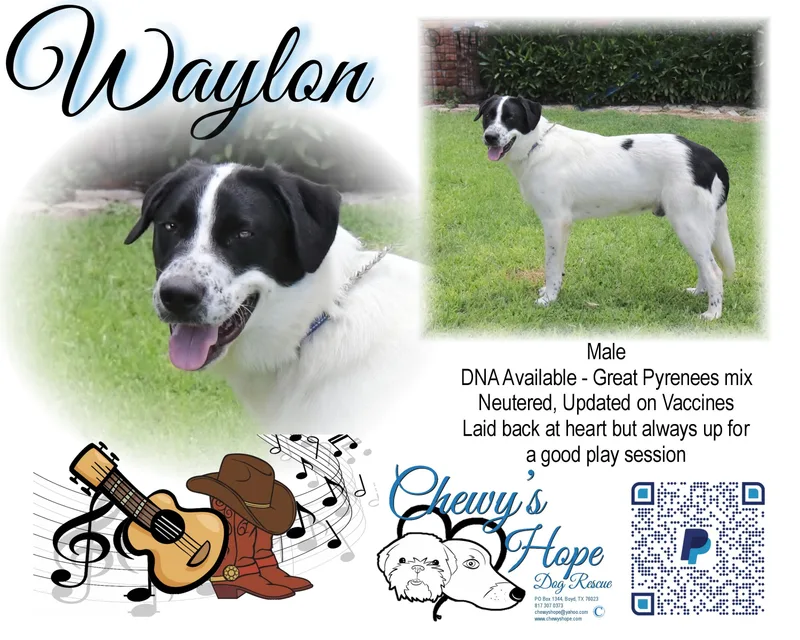 Waylon