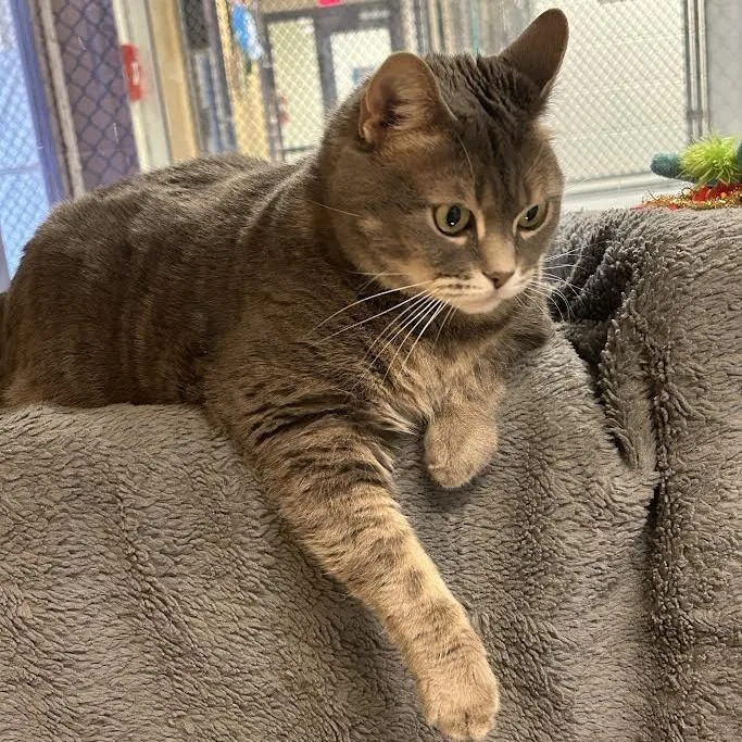 Abundance thumbnail 5