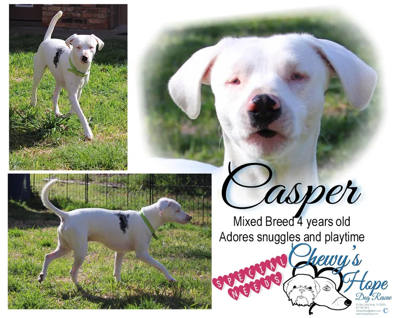 Casper thumbnail 2