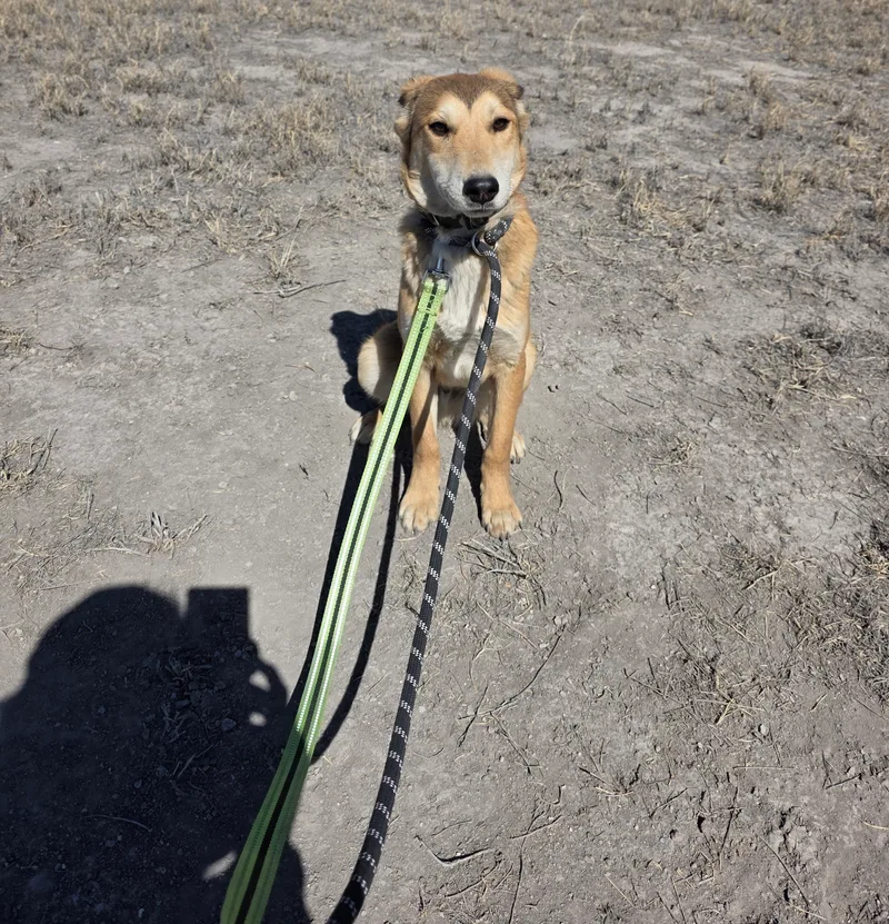 December thumbnail 3