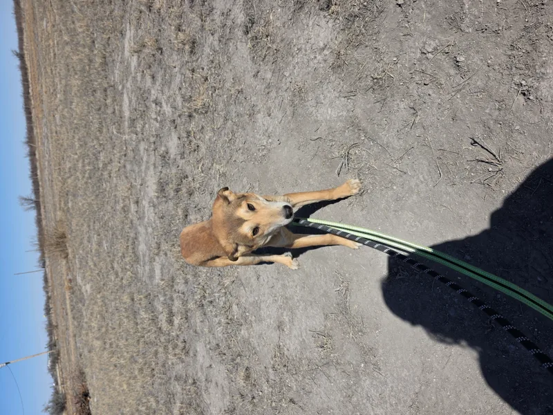 December thumbnail 5