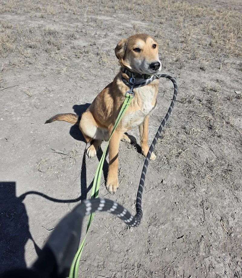 December thumbnail 4