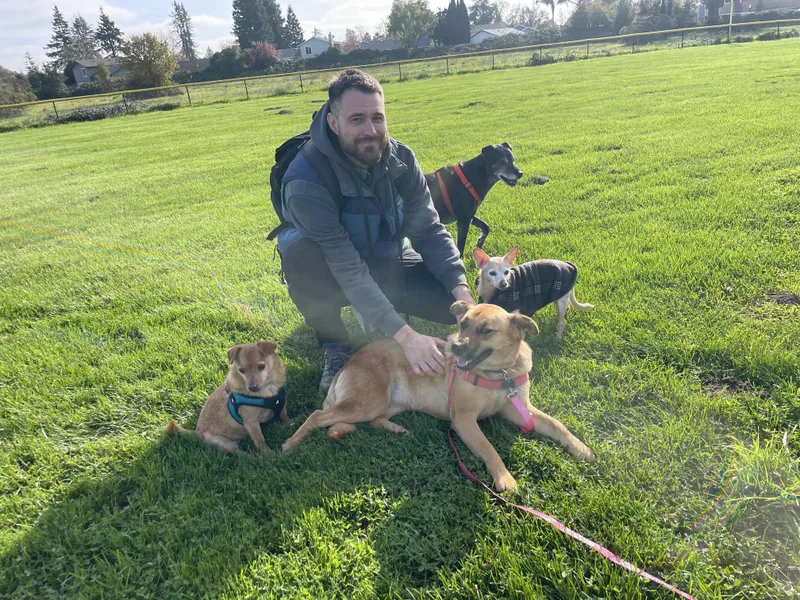 Neigh Neigh thumbnail 4