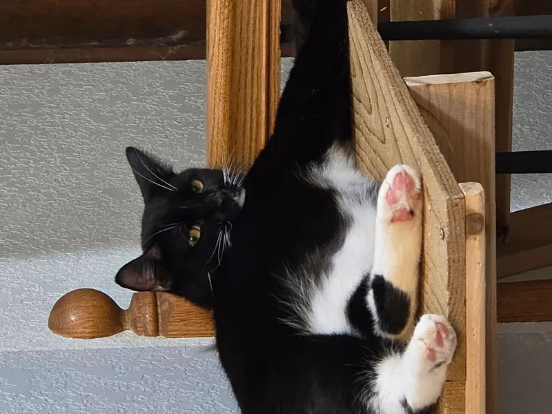 Poseidon thumbnail 4