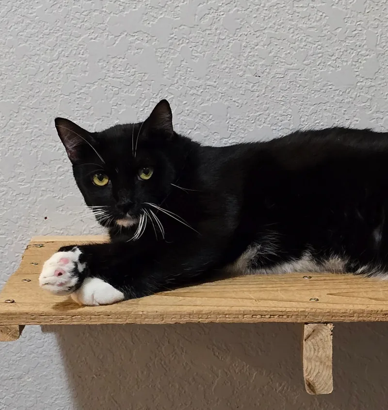 Poseidon thumbnail 7