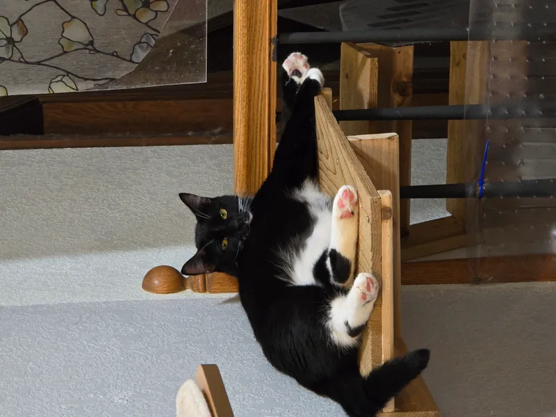 Poseidon thumbnail 3