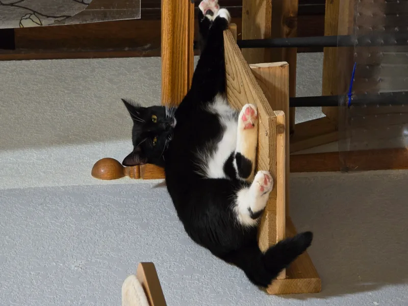 Poseidon thumbnail 6