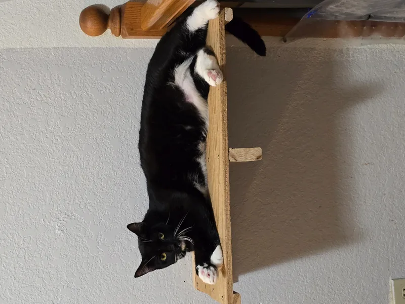 Poseidon thumbnail 5