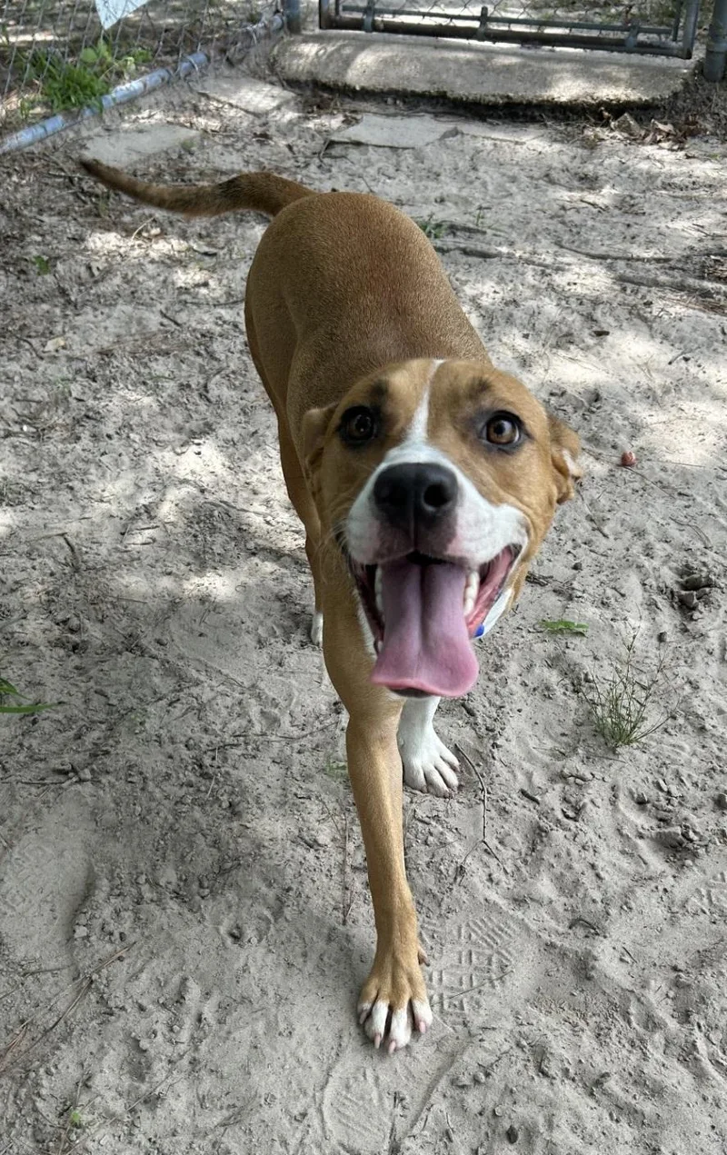 Cheyenne thumbnail 2