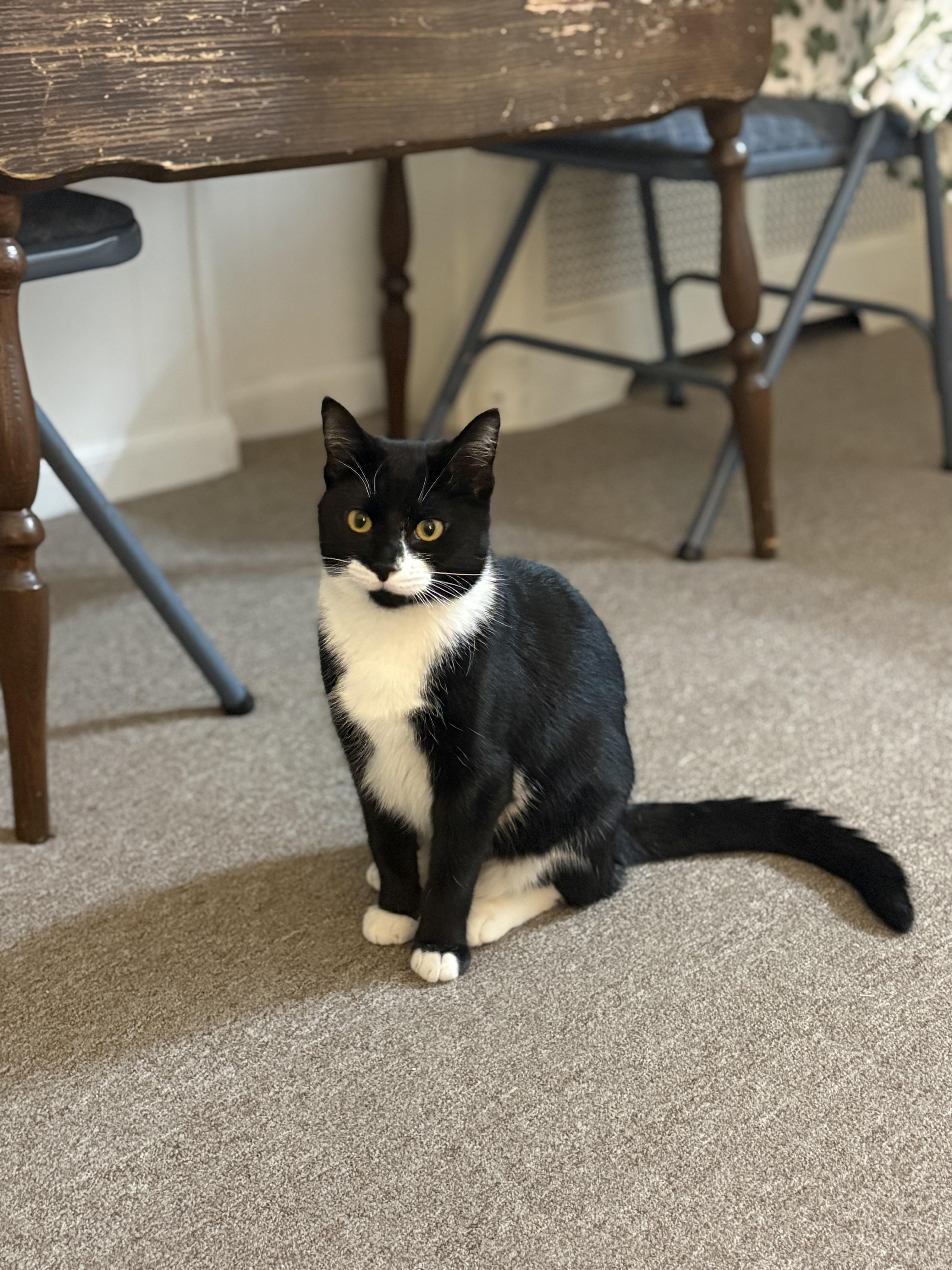 Slingshot thumbnail 2