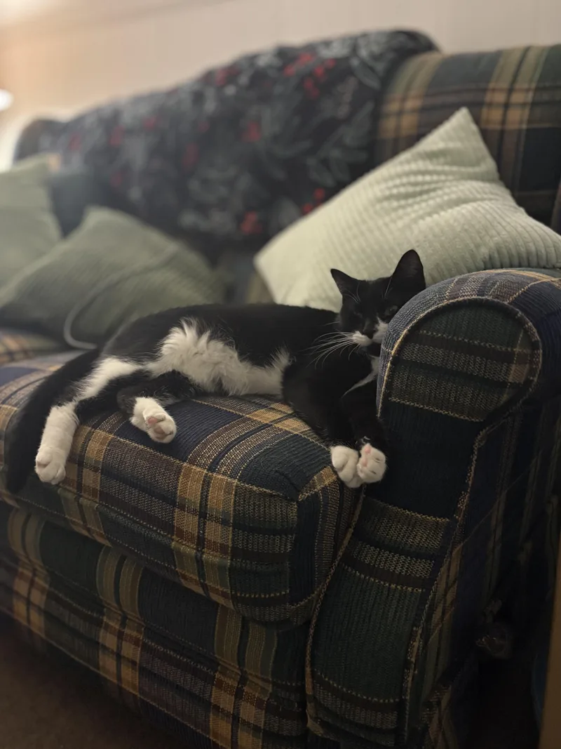 Slingshot thumbnail 5