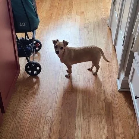 Butterbean thumbnail 2