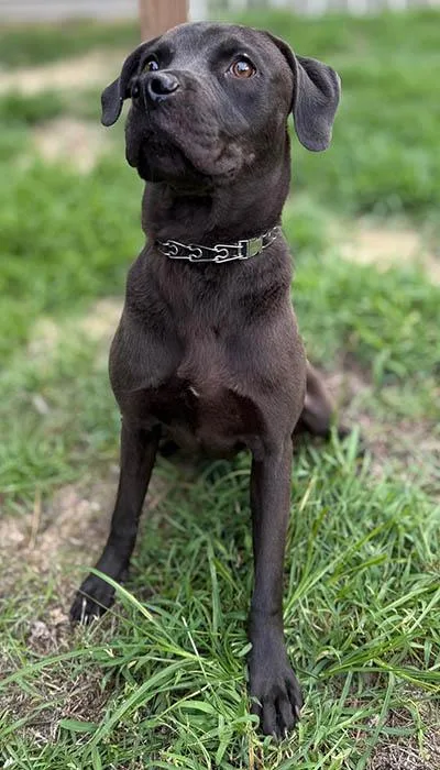 Davy Jones thumbnail 5