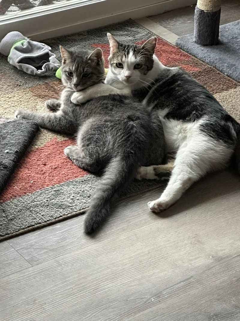 Yager & Clara thumbnail 2