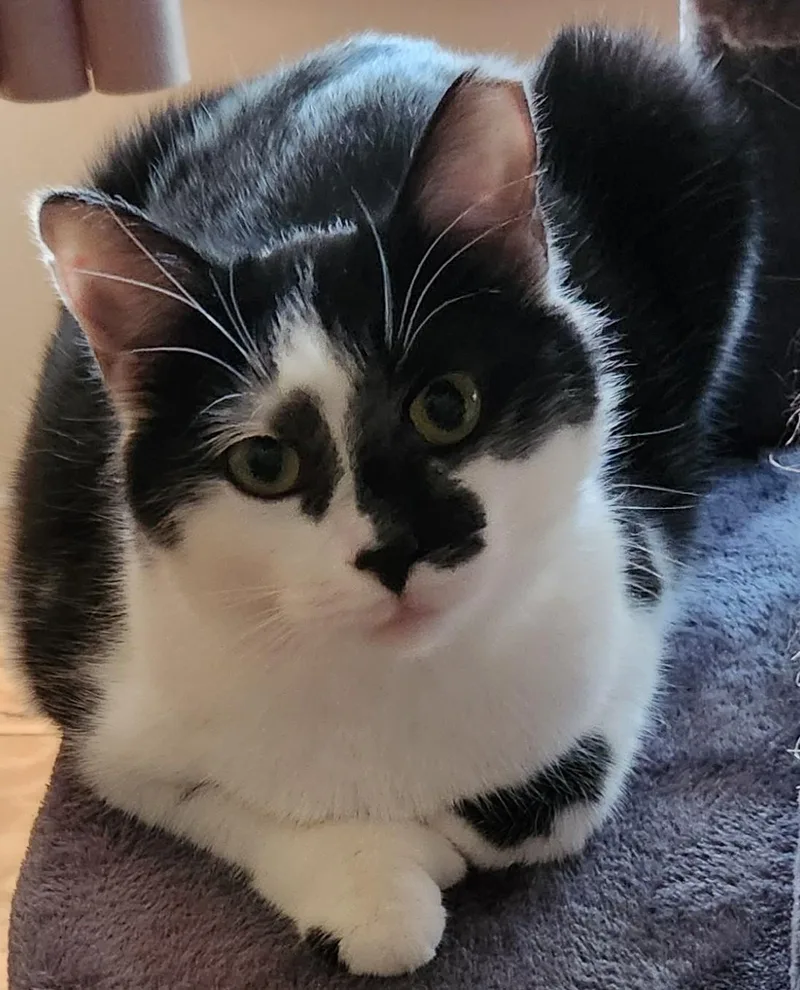 M. Kors & Tory thumbnail 2