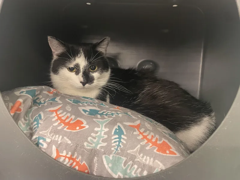 M. Kors & Tory thumbnail 3