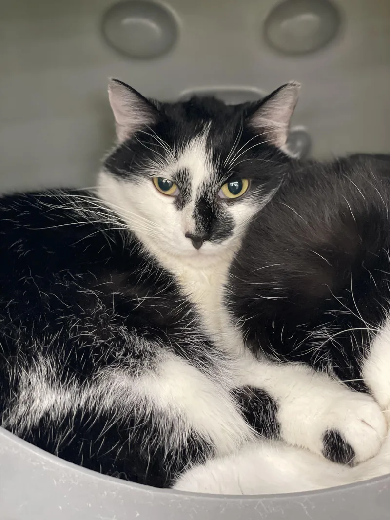 M. Kors & Tory thumbnail 5