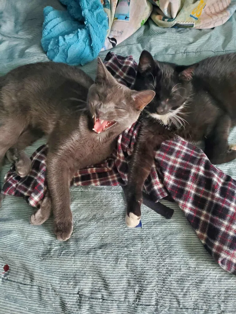 Gragra & Sylvia thumbnail 2