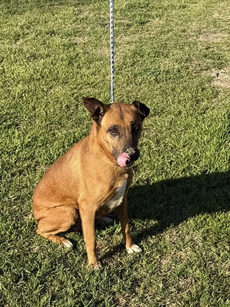 Savannah thumbnail 2