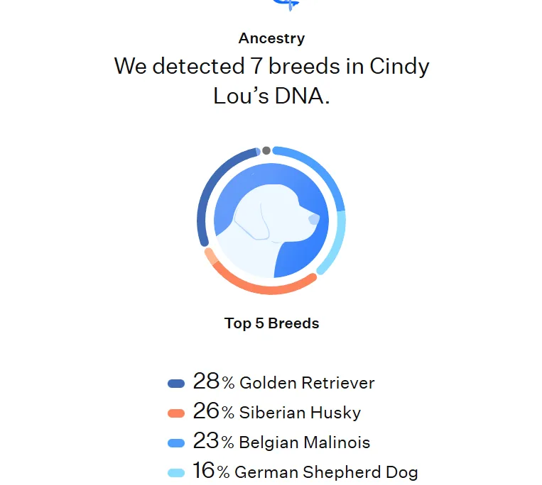 Cindy Lou thumbnail 7