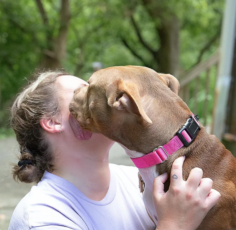 Marjorie thumbnail 3