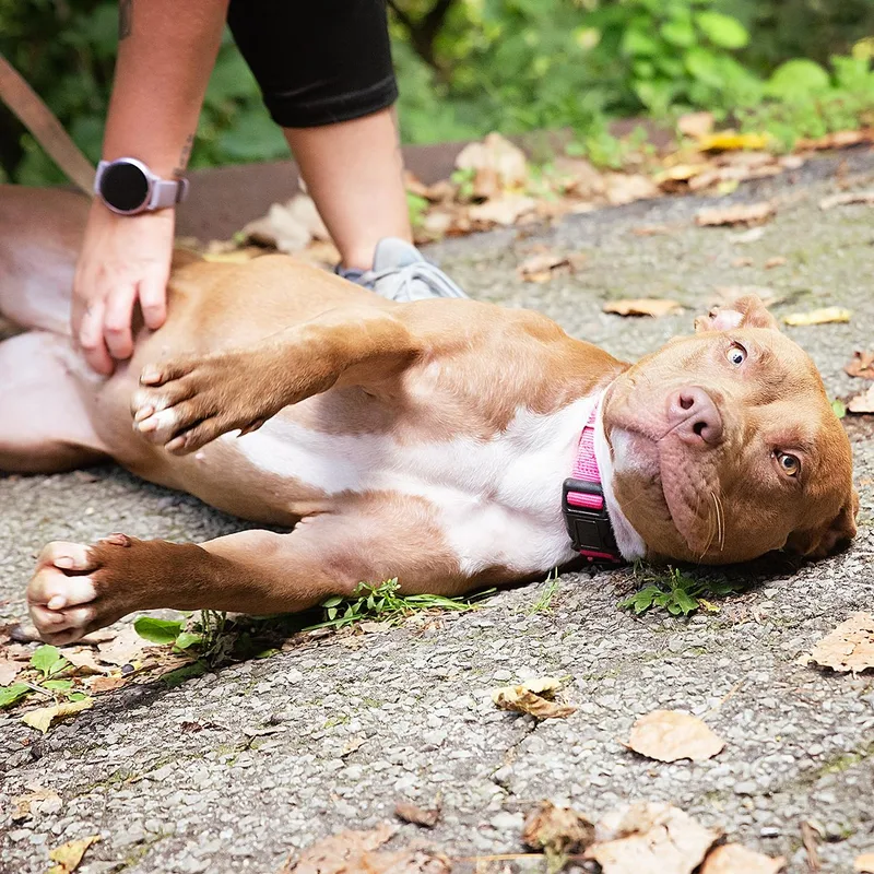 Marjorie thumbnail 5