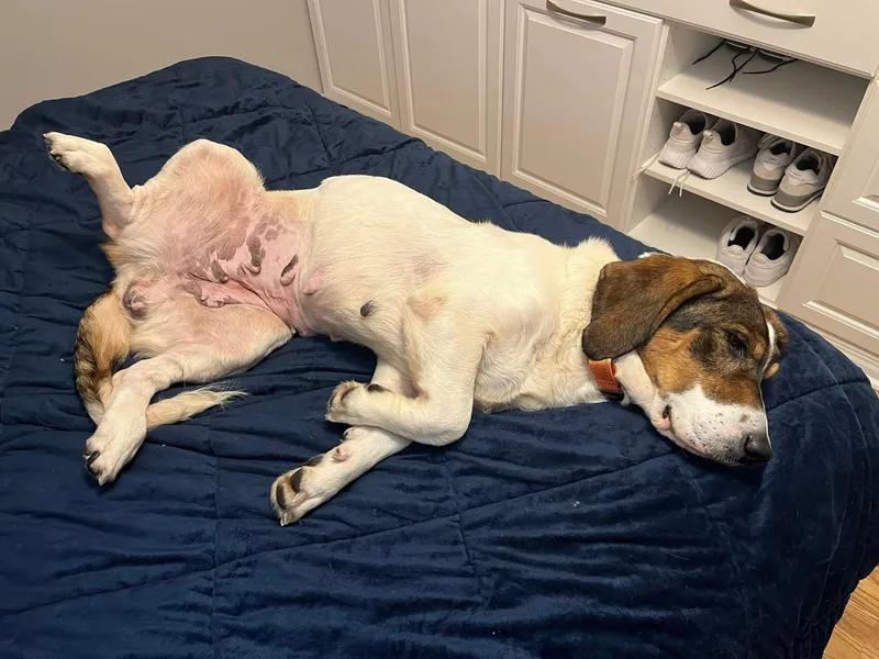 Dorothy   $ thumbnail 2