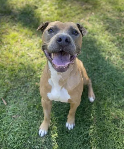 Bill Furry thumbnail 2