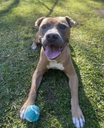 Bill Furry thumbnail 3