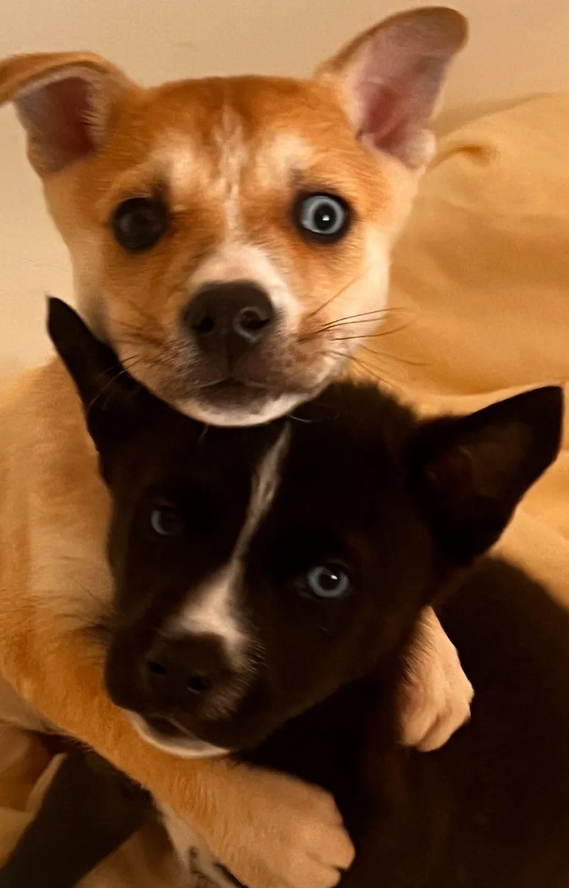 Valentina thumbnail 2