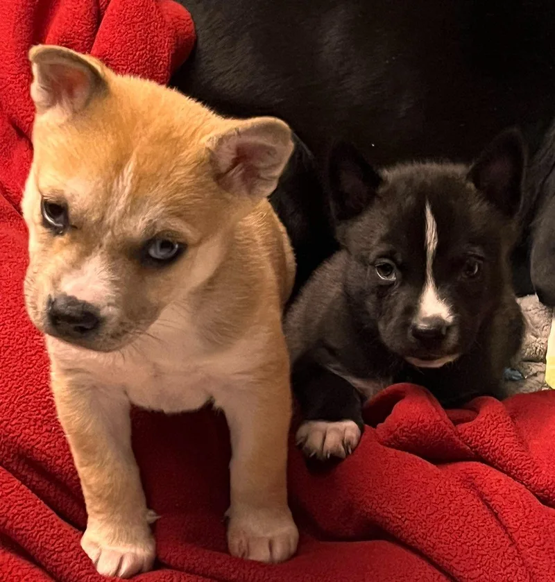 Valentina thumbnail 3