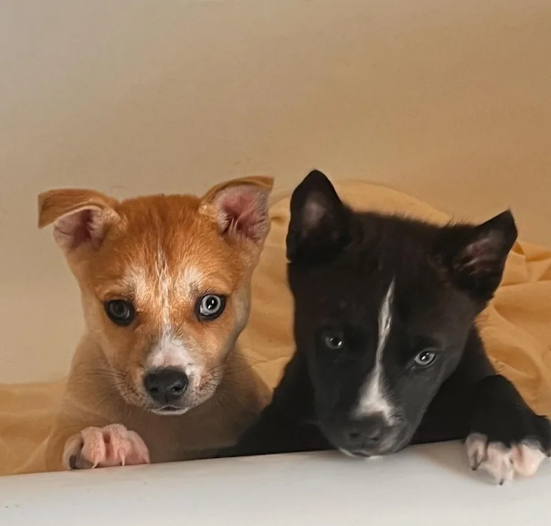 Valentina thumbnail 4