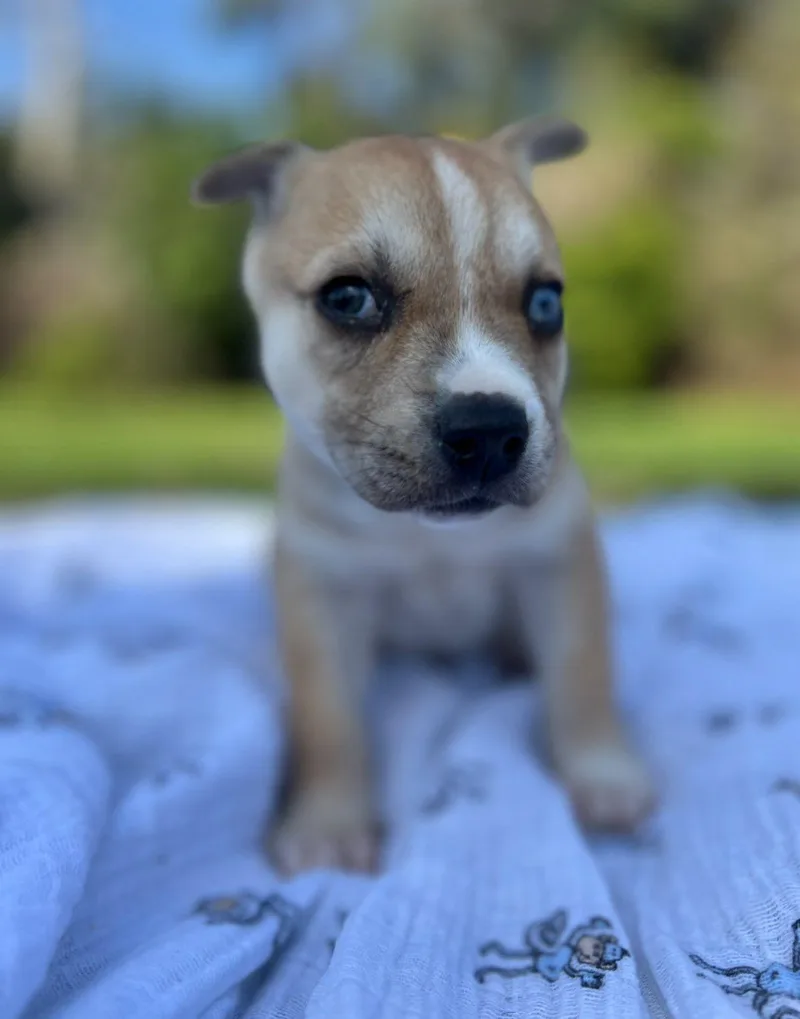 Valentina thumbnail 5