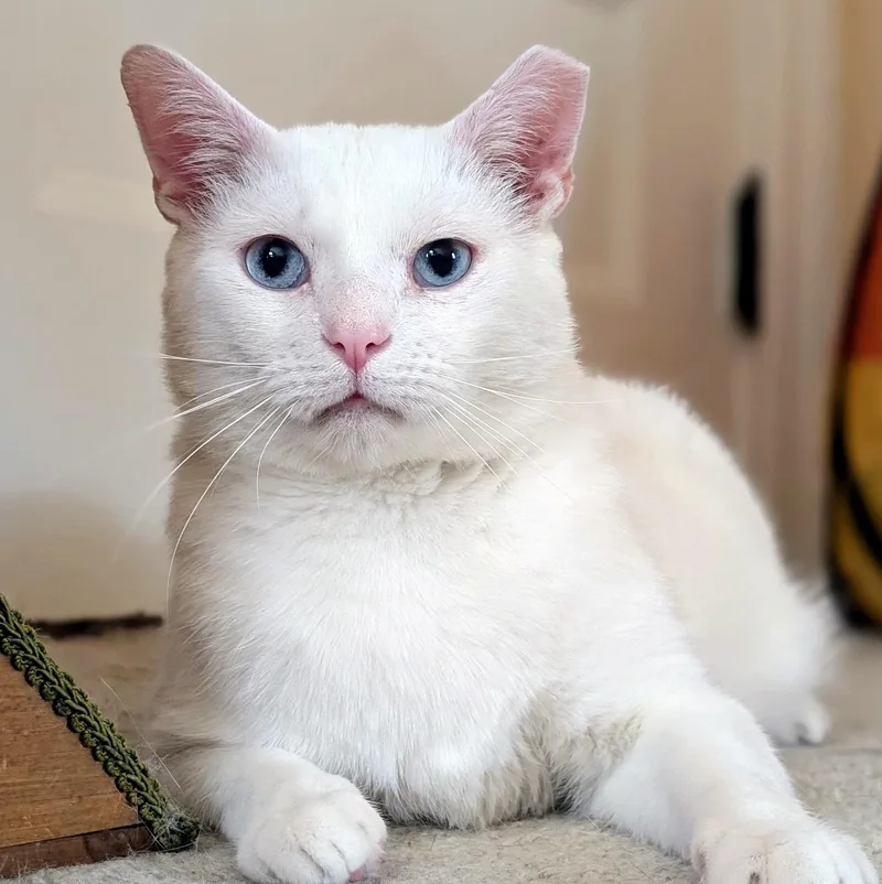 Eddie & Jon Boy thumbnail 2