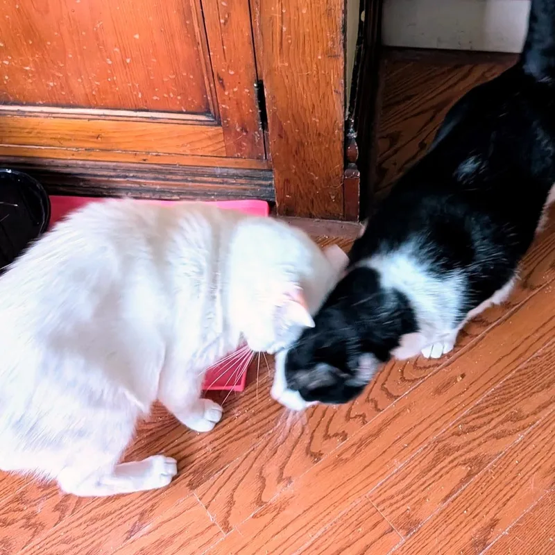 Eddie & Jon Boy thumbnail 4