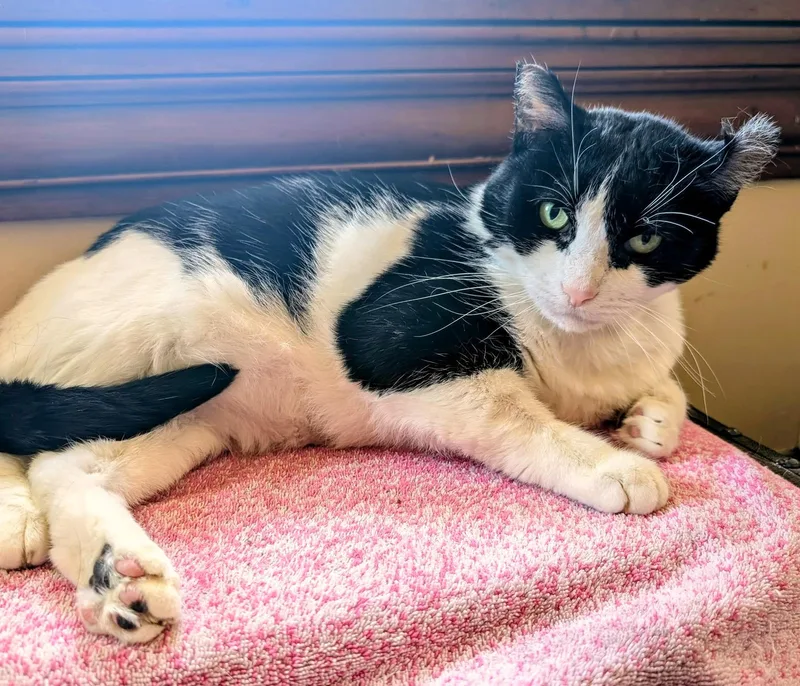 Eddie & Jon Boy thumbnail 5